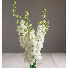 a green vase with white flowers in it