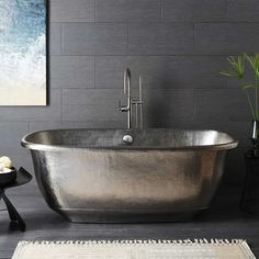 a bathroom with a large silver bathtub next to a rug and potted plant