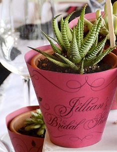 there is a pink flower pot with succulents in it on the table