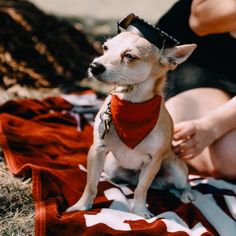 a small dog sitting on top of a red and white blanket next to a person