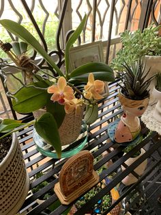 there are many potted plants on the table