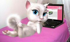 a white cat sitting on top of a pink bed next to a laptop computer with blue eyes