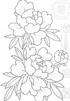 a drawing of some flowers on a white background