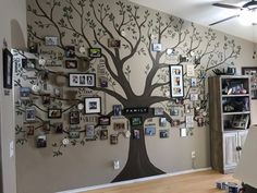 a family tree with many pictures on the wall and hanging from it's sides