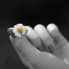 a woman's hand holding a flower with the words boa tarde on it