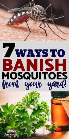 a mosquito with the words 7 ways to banish mosquitoes from your yard