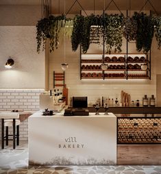 a bakery with plants hanging from the ceiling and shelves on the wall, along with an open counter