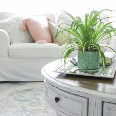 a living room with a couch, coffee table and potted plant on top of it