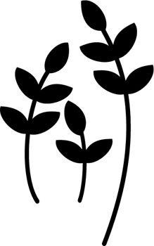 three black and white plants on a white background with the words,'plant life '