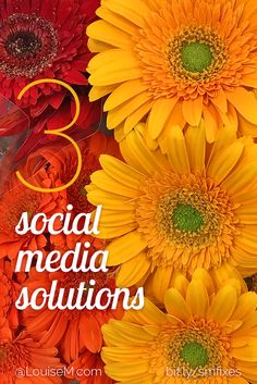 three yellow and red flowers with the words 3 social media solutions on top of them