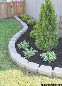 a small garden with some plants in it