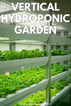 grow lights for your vertical garden - a complete guide to growing plants in the greenhouse