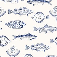 a bunch of fish that are on a white surface with blue and black ink drawings