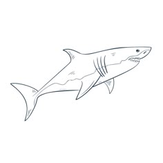 a drawing of a shark swimming in the ocean