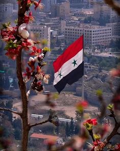 a flag flying high in the sky over a cityscape with buildings and trees