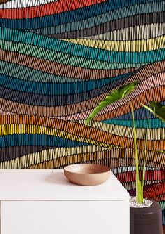 a potted plant sitting on top of a white table next to a colorful wall