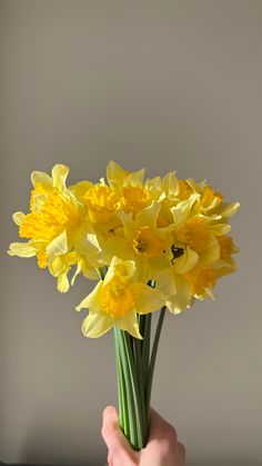 Flowers, bouquet, spring, aesthetics, aesthetic, floral, daffodils, narcissuses Daffodils Aesthetic Wallpaper, Daffodil Wallpaper Aesthetic, Daffodil Bouquet Wedding, Daffodil Aesthetic, Daffodil Wedding Flowers, Daffodils Bouquet Aesthetic, Bouquet Of Daffodils, Flowers Types, Yellow Daffodils Aesthetic