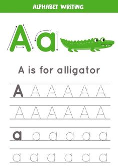 the letter a is for alligator worksheet with an image of a crocodile on it