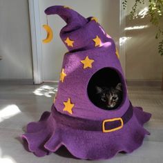 a cat in a purple witch hat with stars on it