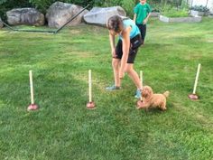 two children and a dog are playing in the yard with boccquets on the grass