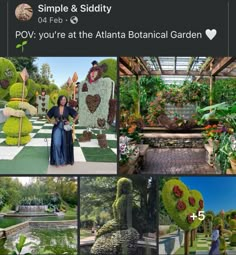 an instagram page with images of plants and people in the background, including a woman standing