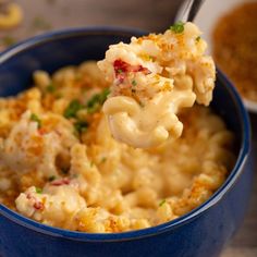 a blue bowl filled with macaroni and cheese