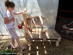 Goat stand from a pallet. Goat Shed