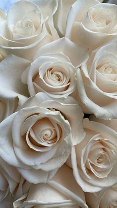 a bouquet of white roses sitting next to each other