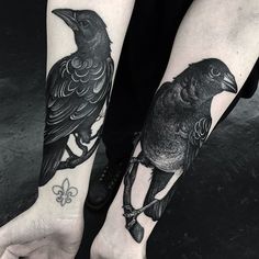 two black birds sitting on top of each other's legs, one is holding a flower