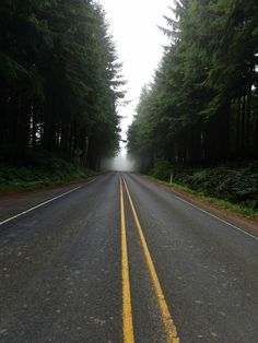 an empty road surrounded by trees and fog