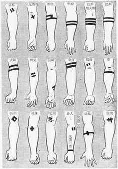 the different types of hands and feet