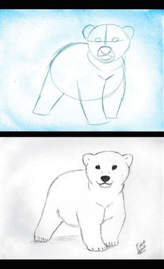 two drawings of polar bears, one in blue and the other in white