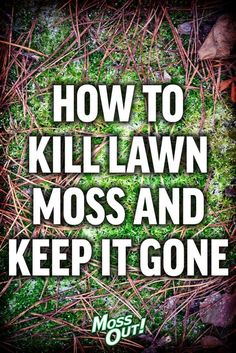 the words how to kill lawn moss and keep it gone