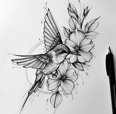 a pencil drawing of a hummingbird and flowers