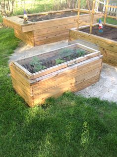 three wooden raised garden beds with plants growing in them