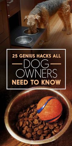 a dog standing in front of a bowl full of food with the title 25 genius hacks all dog owners need to know