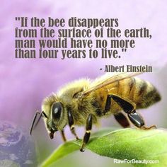 a bee sitting on top of a green leaf next to a quote from albert einstein