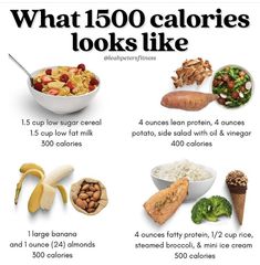 1600 Calorie Meal Plan, 5 Day Workout Plan, Day Workout Plan, 1500 Calorie Diet, Meal Plan Ideas, Habit Change, Meal Prep Guide, Healing Remedies