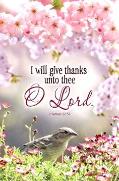 a bird sitting in the middle of flowers with a bible verse below it that says, i will give thanks unto to thee o lord