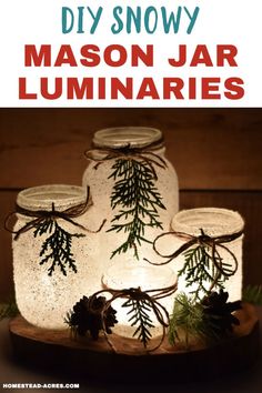 mason jar luminaries with pine cones and evergreens on them are the perfect christmas decoration