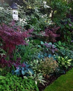 a garden filled with lots of different types of plants and flowers next to a birdhouse