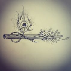 a pencil drawing of a feather and scissors