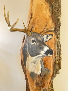 a deer head mounted on the side of a wooden tree trunk with antlers sticking out of it