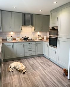 a dog laying on the floor in a kitchen next to a stove top oven and microwave