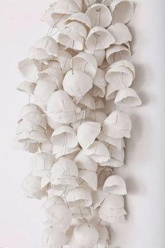 a bunch of white flowers hanging from the side of a wall