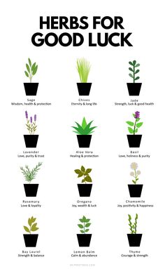 an image of herbs for good luck