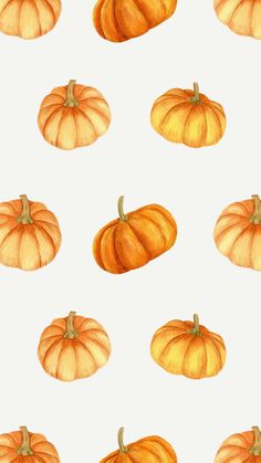 watercolor pumpkins on a white background