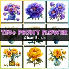 twelve different images of flowers in vases with the words 120 + peony flower clipart bundle