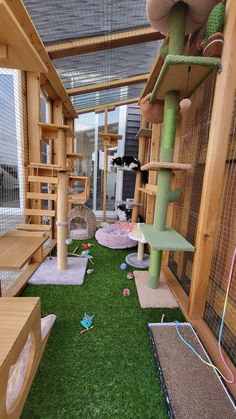 the inside of a house with many different types of cat toys and scratching pads on the grass