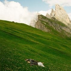 there is a bag that is laying in the grass on the side of a hill